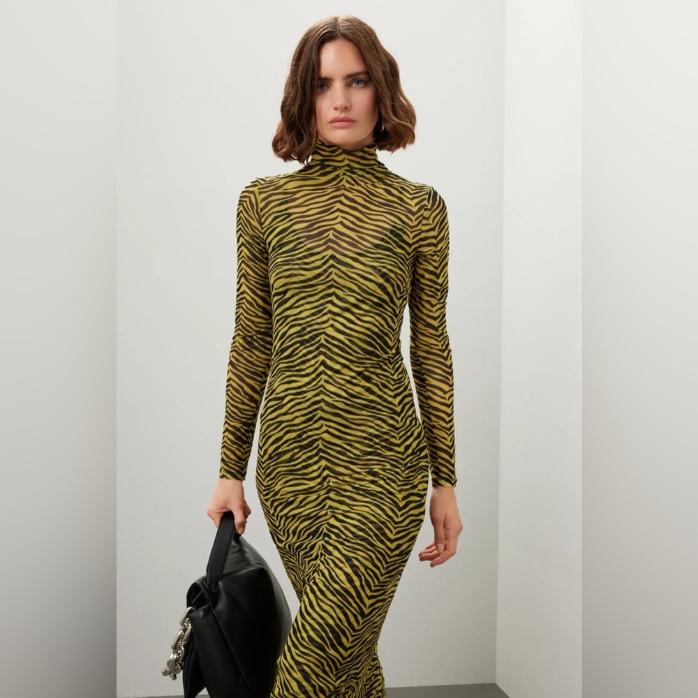 Simon Miller Zebra Print Long Sleeve Dress with matching slip